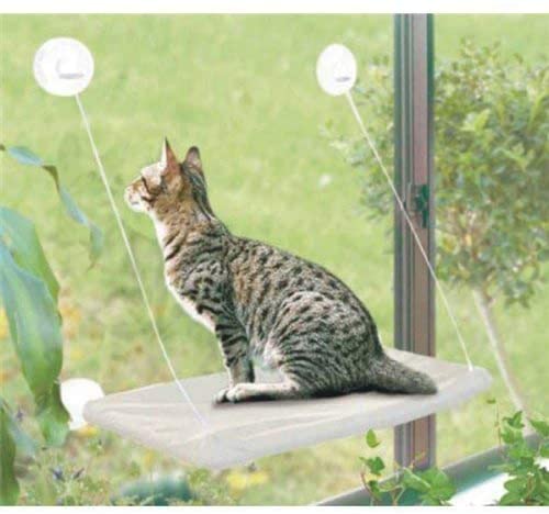 cat-window-perch-suction-cups