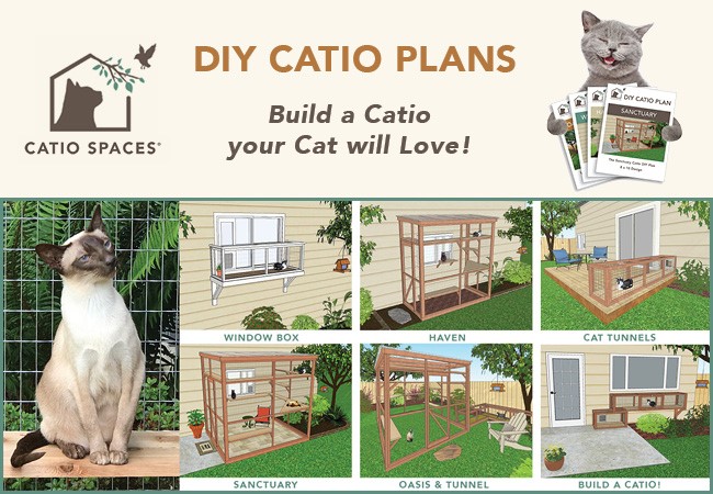 catio-spaces-catio-plans