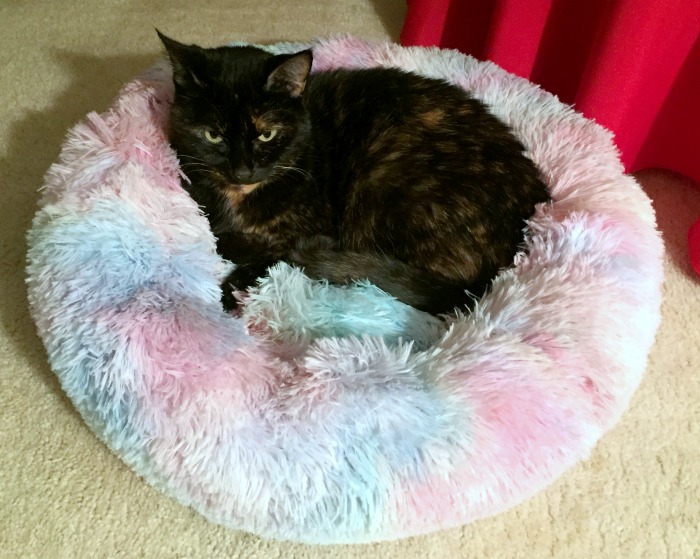 marshmallow-cat-bed