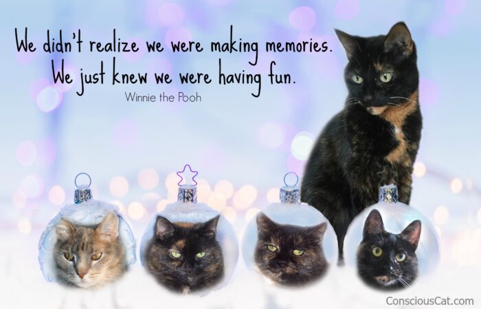 holiday-memories-cats-ornaments