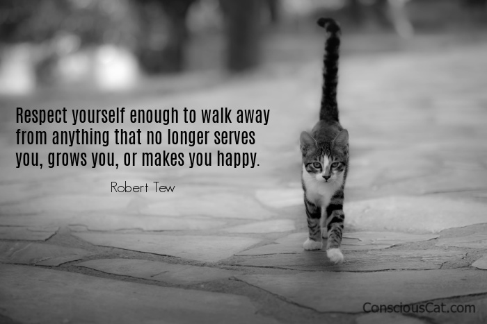 cat-walk-away