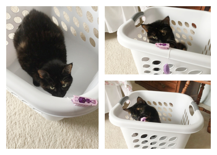 laundry-basket-hexbug
