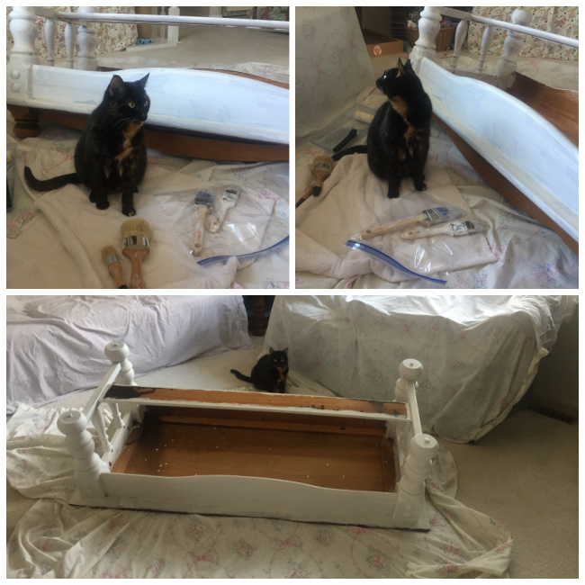 coffee-table-makeover cat