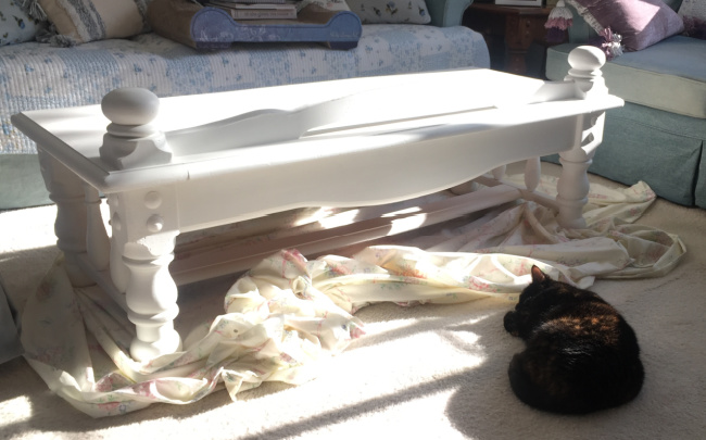 white-coffee-table-cat-sleeping