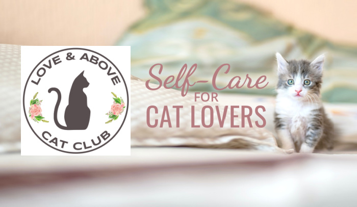 love-and-above-cat-club-self-care-cat-lovers