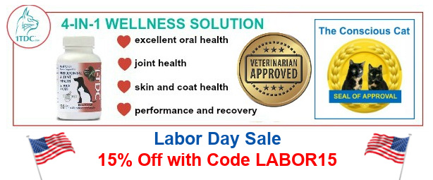 1tdc-labor-day-sale