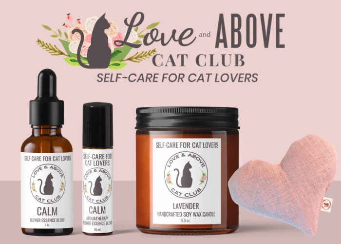 love-and-above-cat-club