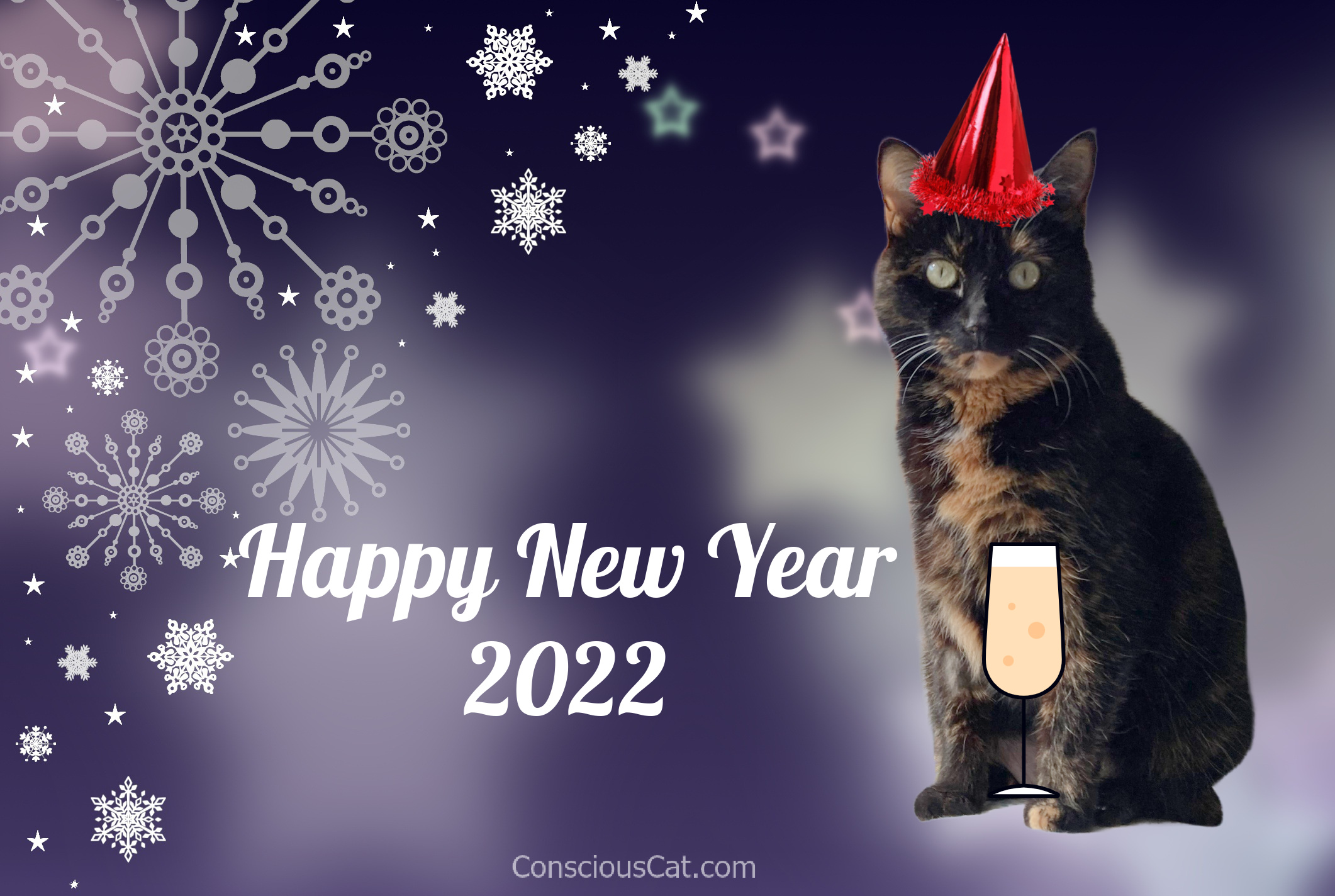 happy-new-year-cat
