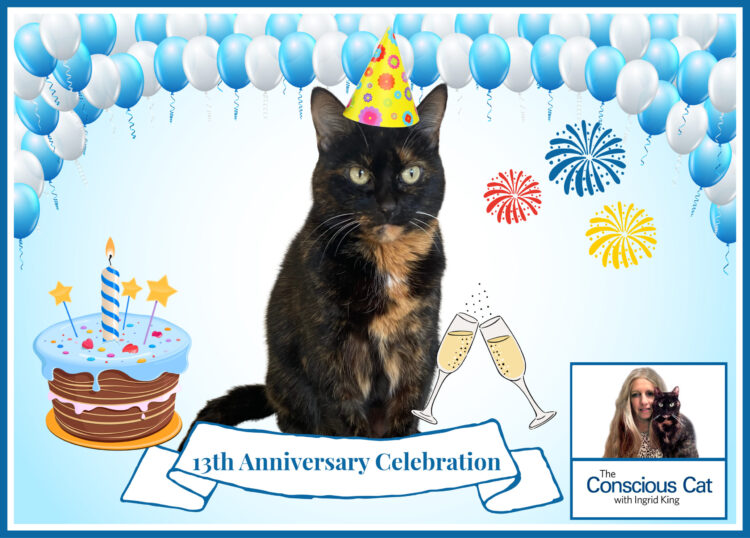 conscious-cat-anniversary-celebration