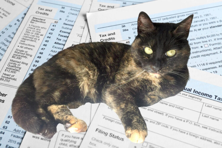 cat-tax-forms