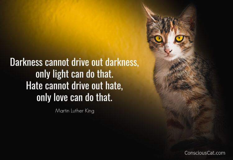 cat-quote-mlk-love-hate