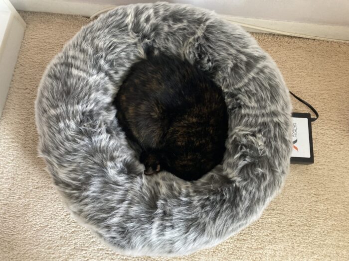 faux-fur-cat-bed