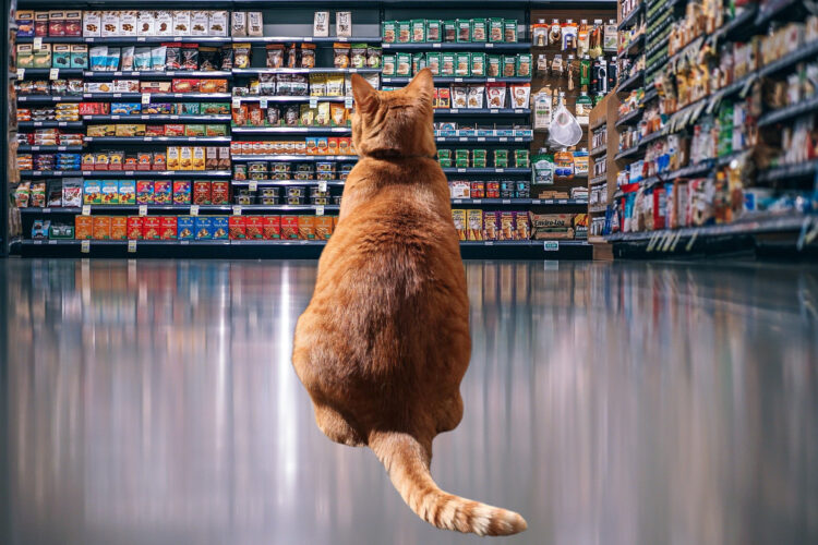 cat-pet-food-labels
