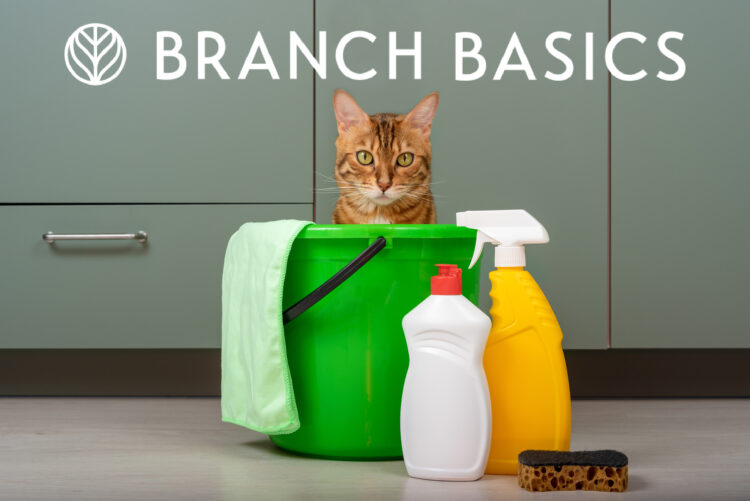 branch-basics-cleaning-products