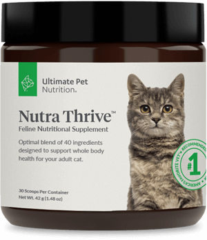 Nutra-Thrive-Cat