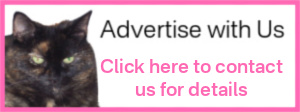 advertise with us new