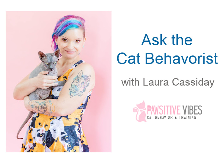 ask-the-cat-behaviorist-laura-cassiday