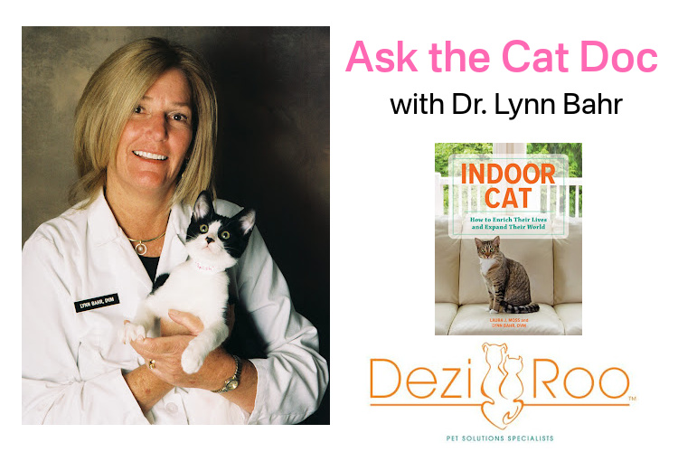 ask-the-cat-doc-lynn-bahr