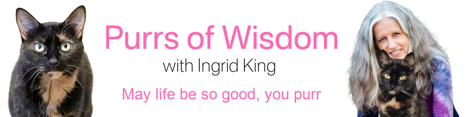 Purrs of Wisdom with Ingrid King