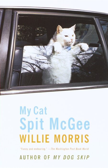 my-cat-spit-mcgee