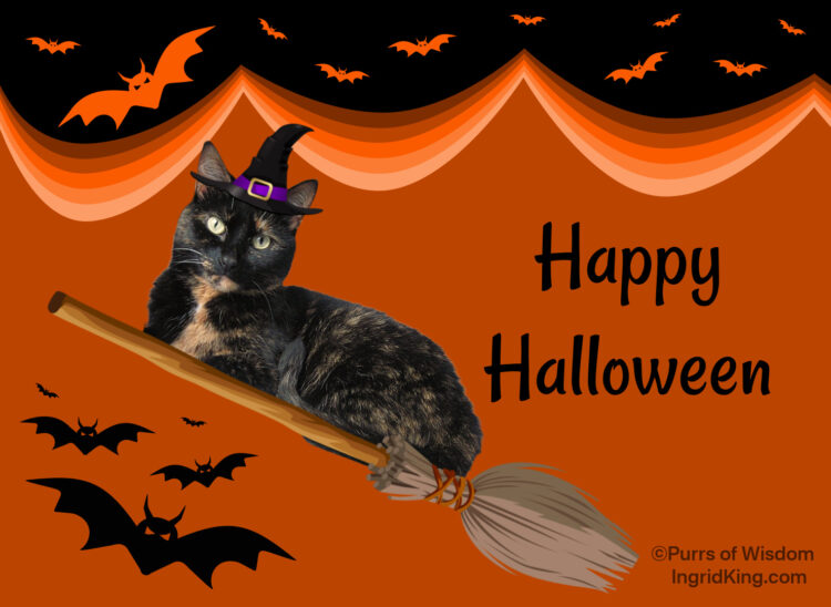 halloween-cat-witch-broom