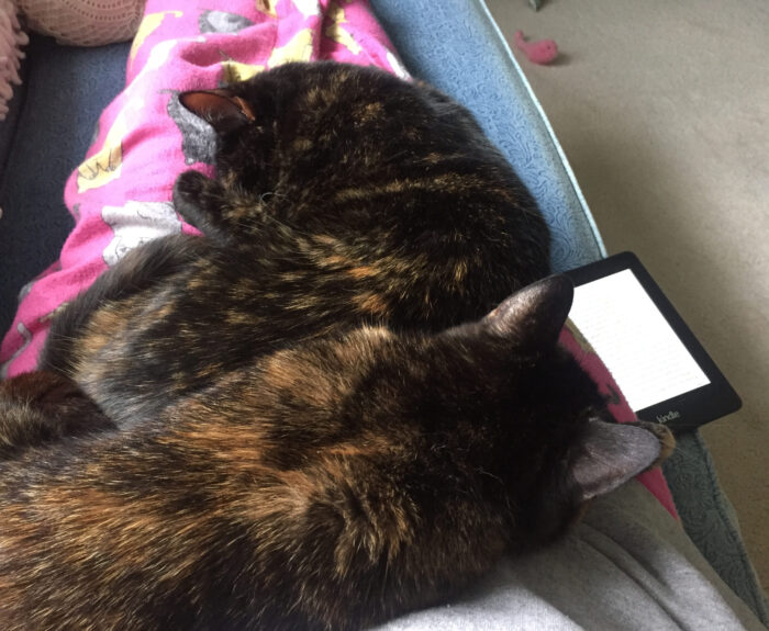 two-cats-lap