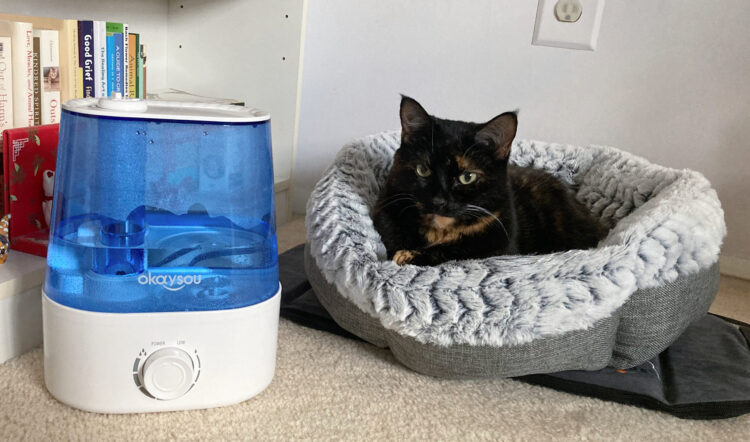 humidifier-cat-bed