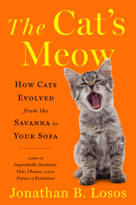 Cover_Cat's Meow