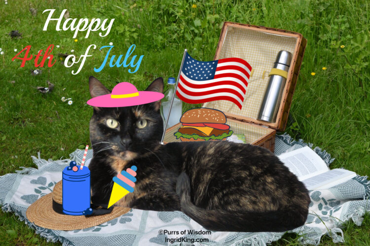 cat-4th-of-july-picnic