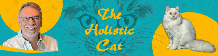 holistic-cat-conference