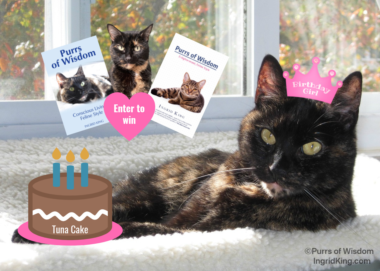 Ruby-birthday-Purrs-anniversary-giveaway