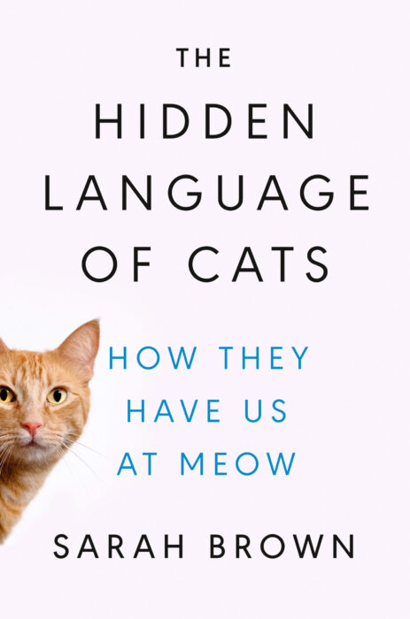 hidden-language-of-cats