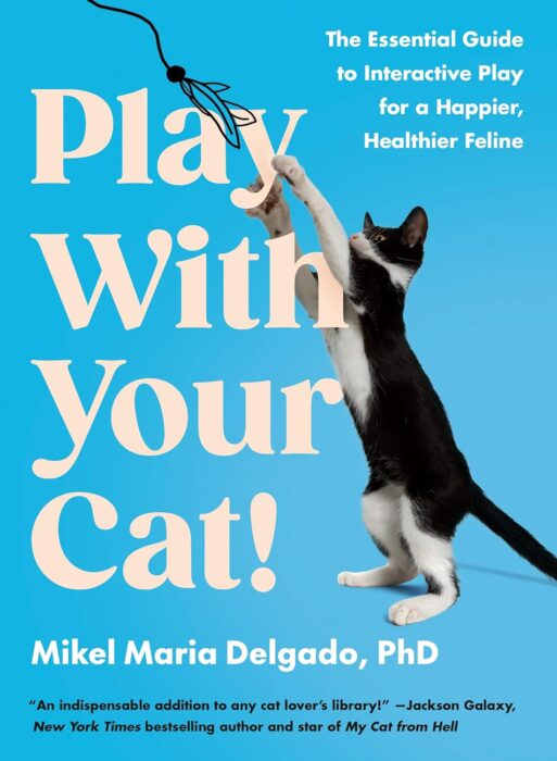 play-with-your-cat