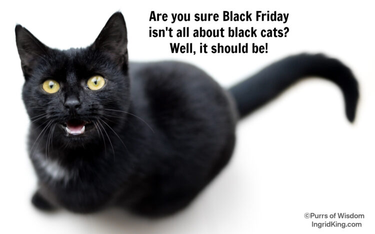 black-cat-black-friday