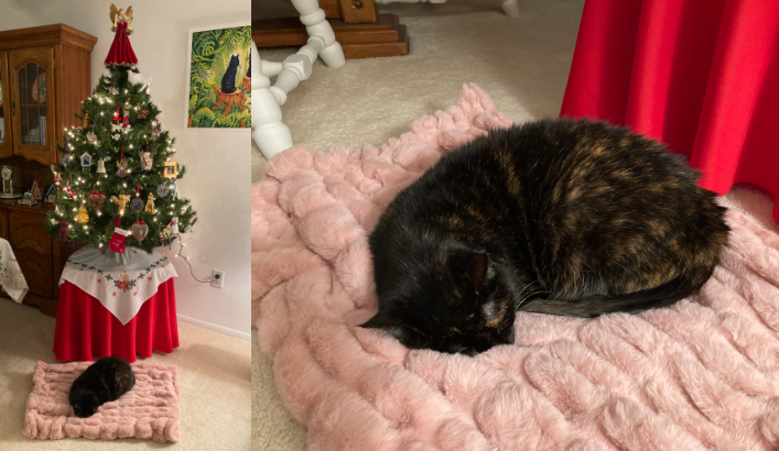 cat-blanket-christmas