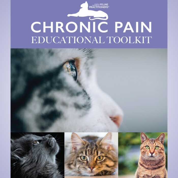 aafp-chronic-pain-toolkit