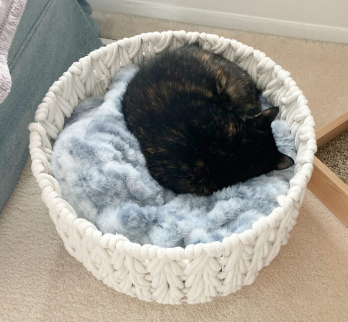 cat-sleeping-basket