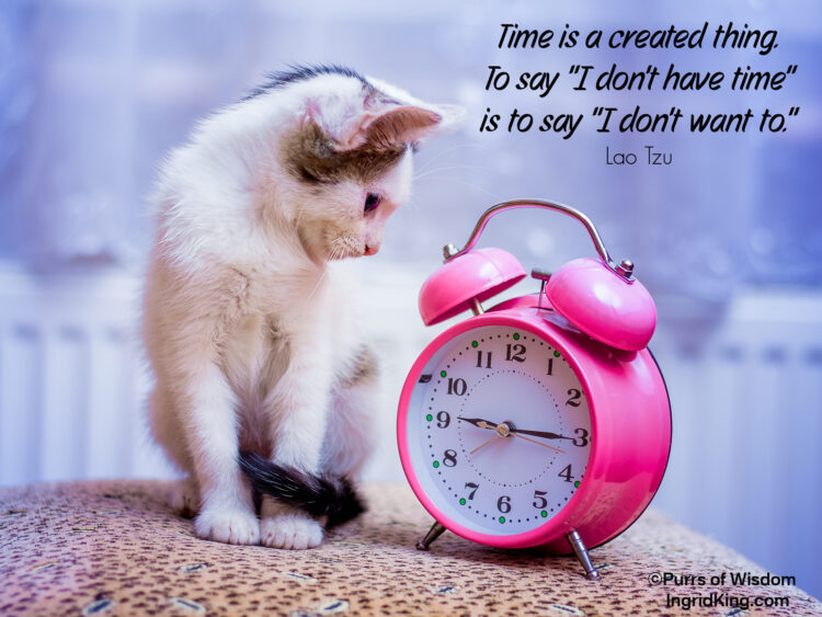 kitten-pink-clock