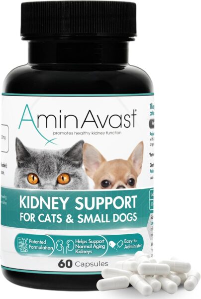 Aminavast-cats-small-dogs