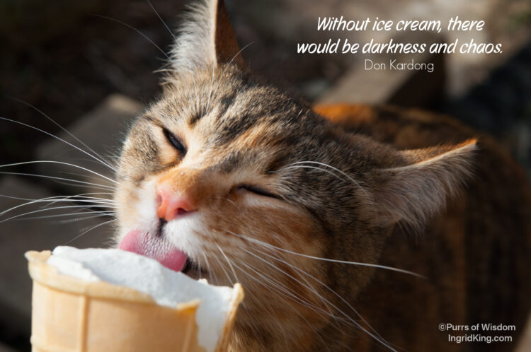 cat-licking-ice-cream