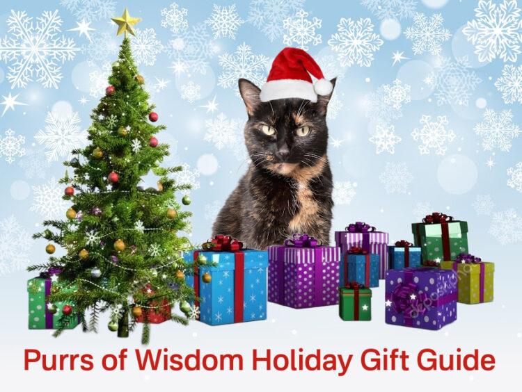 cat-holiday-gifts