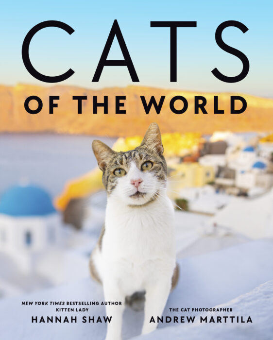 cats_of_the_world