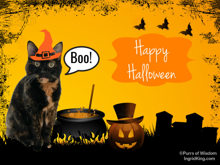 halloween-cat