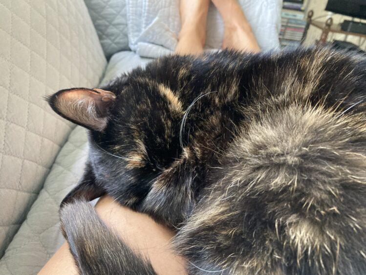 Allegra-nap-lap