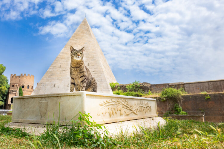 cat-rome
