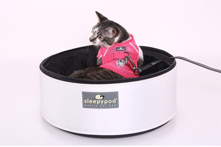 Sleepypod-harness