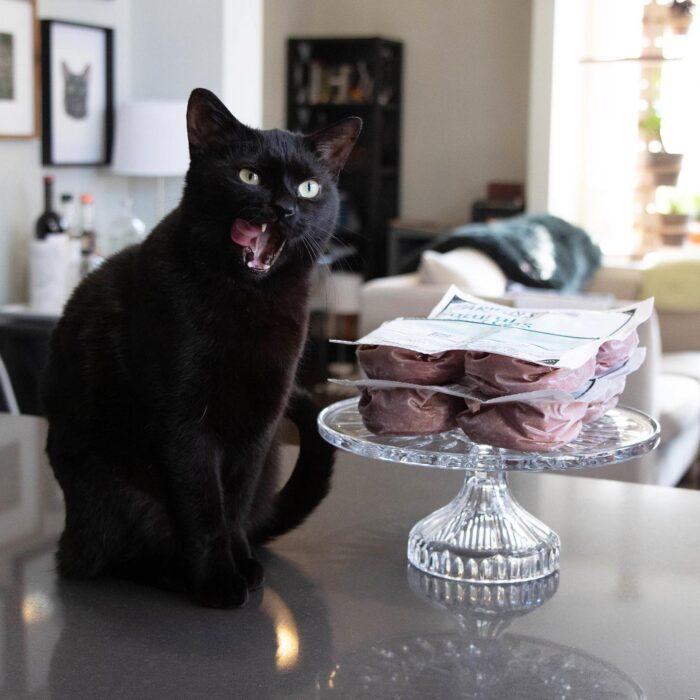 black-cat-darwins-ra-food