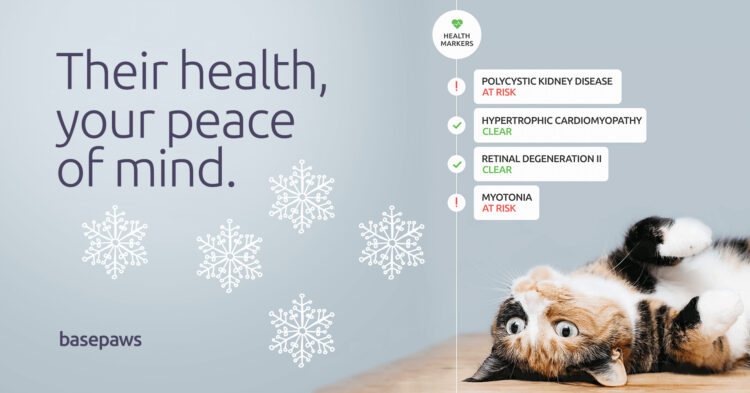 basepaws-feline-dna-test