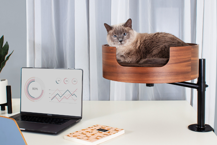 desk-nest-cat-bed