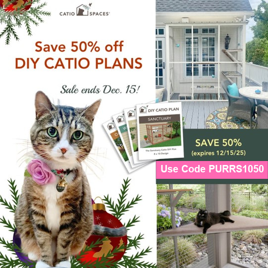 catio-spaces-plans